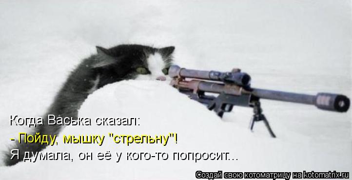 Когда Васька сказал: - Пойду, мышку "стрельну"! Я думала, он её у кого-то попросит...... Котоматрица: Когда Васька сказал: - Пойду, мышку "стрельну"! Я думала, он её у кого-то попросит...