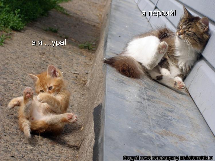 я первий! я первий! а я ...ура! а я ...ура! чё?... Котоматрица: я первий! я первий! а я ...ура! а я ...ура! чё?