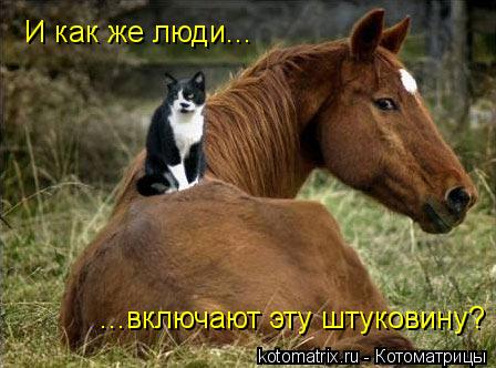 И как же люди... ...включают эту штуковину?... Котоматрица: И как же люди... ...включают эту штуковину?
