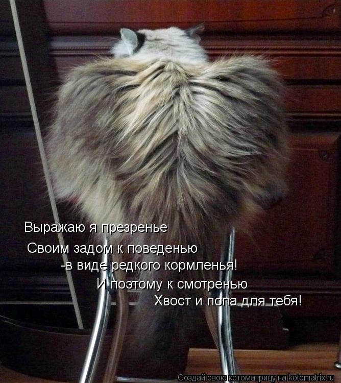 Выражаю я презренье Своим задом к поведенью -в виде редкого кормленья! И поэтому к смотренью Хвост и ... Котоматрица: Выражаю я презренье Своим задом к поведенью -в виде редкого кормленья! И поэтому к смотренью Хвост и попа для тебя!