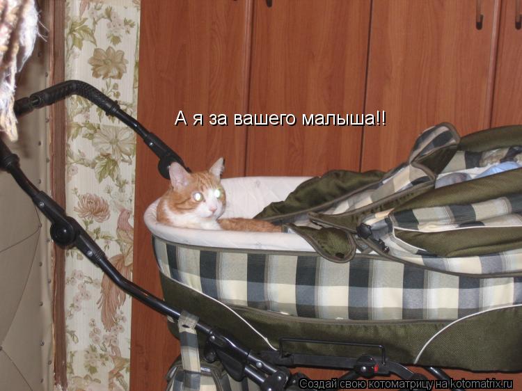 А я за вашего малыша!!... Котоматрица: А я за вашего малыша!!