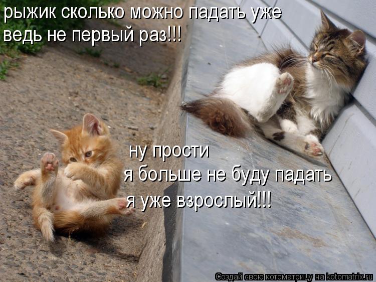 рыжик сколько можно падать уже ведь не первый раз!!! ну прости я больше не буду падать я уже взрослы... Котоматрица: рыжик сколько можно падать уже ведь не первый раз!!! ну прости я больше не буду падать я уже взрослый!!!