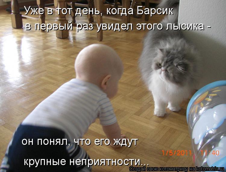Уже в тот день, когда Барсик в первый раз увидел этого лысика - он понял, что его ждут крупные неп... Котоматрица: Уже в тот день, когда Барсик в первый раз увидел этого лысика - он понял, что его ждут крупные неприятности...