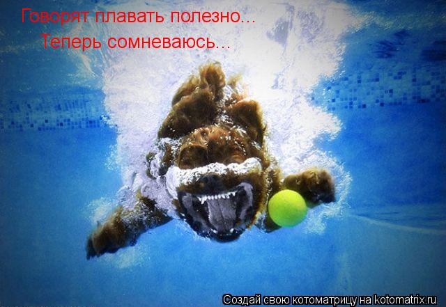 Говорят плавать полезно... Теперь сомневаюсь...... Котоматрица: Говорят плавать полезно... Теперь сомневаюсь...