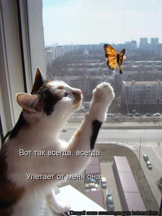 Вот так всегда, всегда. Улетает от меня она. Улетает от меня она.... Котоматрица: Вот так всегда, всегда. Улетает от меня она. Улетает от меня она.