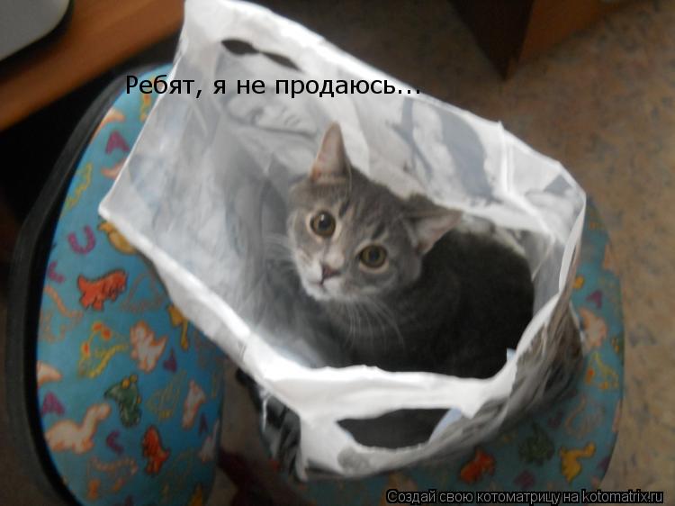Ребят, я не продаюсь...... Котоматрица: Ребят, я не продаюсь...