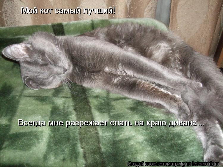 Мой кот самый лучший! Всегда мне разрежает спать на краю дивана...... Котоматрица: Мой кот самый лучший! Всегда мне разрежает спать на краю дивана...