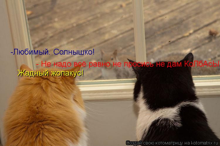 -Любимый. Солнышко! - Не надо всё равно не просись не дам КоЛбАсЫ! - Не надо всё равно не просись не... Котоматрица: -Любимый. Солнышко! - Не надо всё равно не просись не дам КоЛбАсЫ! - Не надо всё равно не просись не дам КоЛбАсЫ! Жадный жопакус!