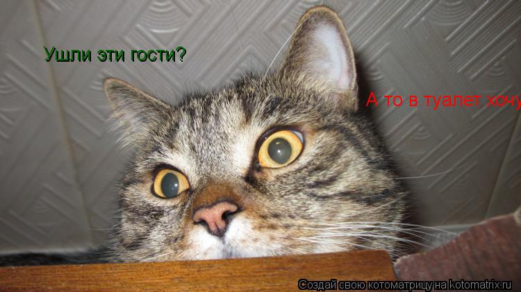 Ушли эти гости? А то в туалет хочу!... Котоматрица: Ушли эти гости? А то в туалет хочу!