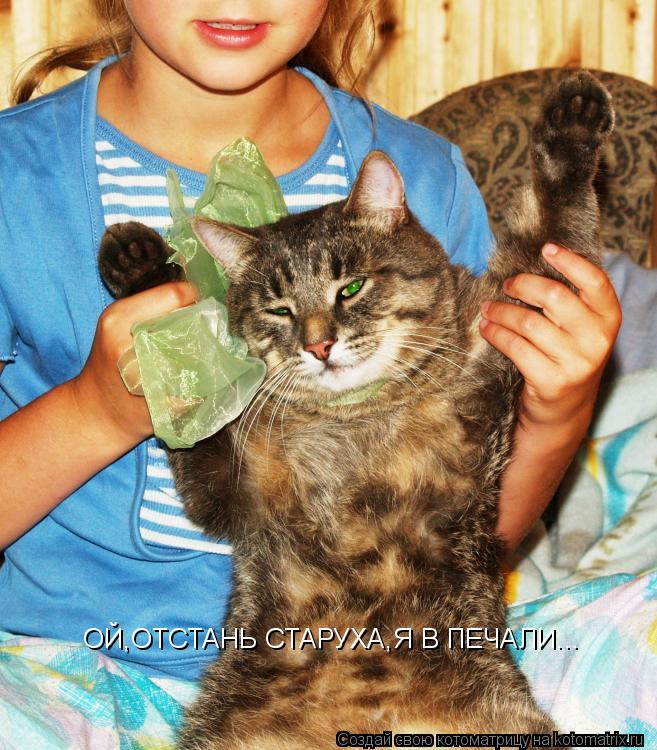 Котоматрица: ОЙ,ОТСТАНЬ СТАРУХА,Я В ПЕЧАЛИ...