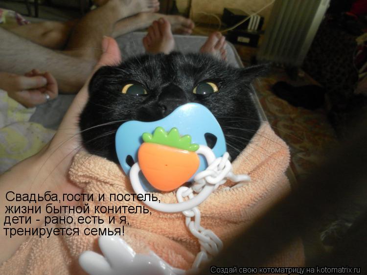 Котоматрица: Свадьба,гости и постель, жизни бытной конитель, дети - рано,есть и я,   тренируется семья!
