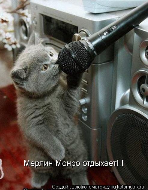 Котоматрица: Мерлин Монро отдыхает!!!