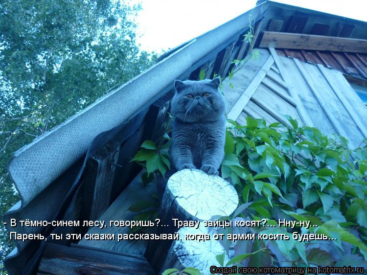 - В тёмно-синем лесу, говоришь?... Траву зайцы косят?... Нну-ну... Парень, ты эти сказки рассказывай,... Котоматрица: - В тёмно-синем лесу, говоришь?... Траву зайцы косят?... Нну-ну... Парень, ты эти сказки рассказывай, когда от армии косить будешь... Парень, ты эти