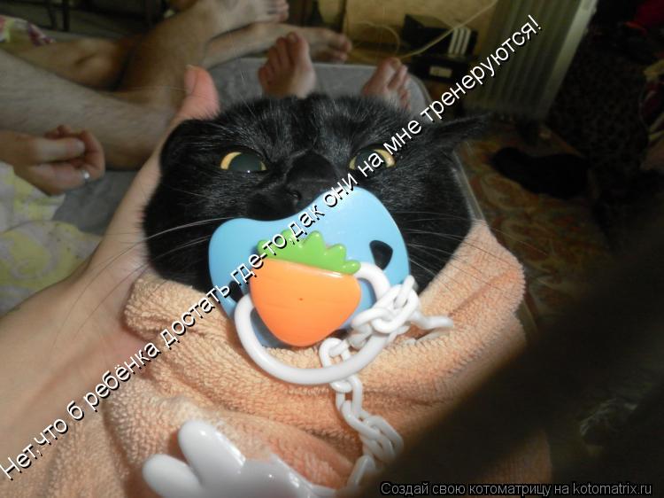 Котоматрица: Нет,что б ребёнка достать где-то,дак они на мне тренеруются!