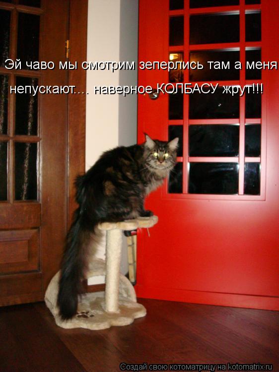 Котоматрица: Эй чаво мы смотрим зеперлись там а меня непускают.... наверное КОЛБАСУ жрут!!! Эй чаво мы смотрим зеперлись там а меня непускают.... наверное КО