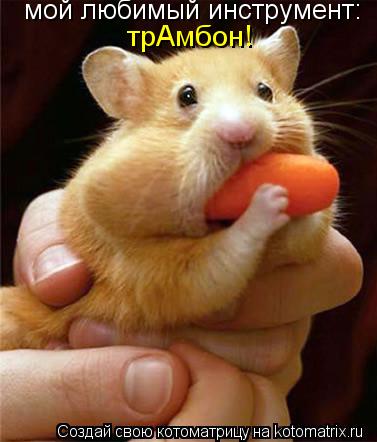 мой любимый инструмент: трАмбон!... Котоматрица: мой любимый инструмент: трАмбон!