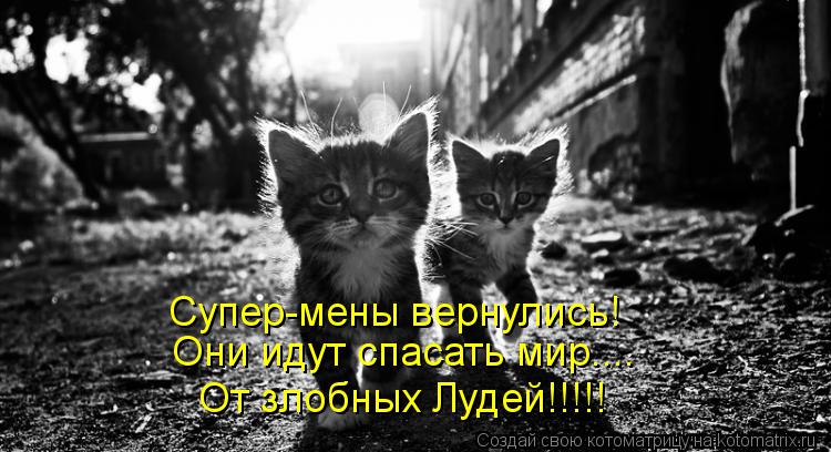 Супер-мены вернулись! Они идут спасать мир.... От злобных Лудей!!!!!... Котоматрица: Супер-мены вернулись! Они идут спасать мир.... От злобных Лудей!!!!!