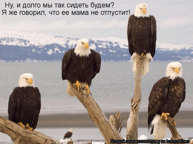 Ну, и долго мы так сидеть будем? Я же говорил, что ее мама не отпустит!... Котоматрица: Ну, и долго мы так сидеть будем? Я же говорил, что ее мама не отпустит!