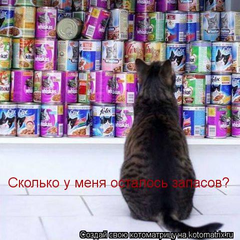 Сколько у меня осталось запасов?... Котоматрица: Сколько у меня осталось запасов?