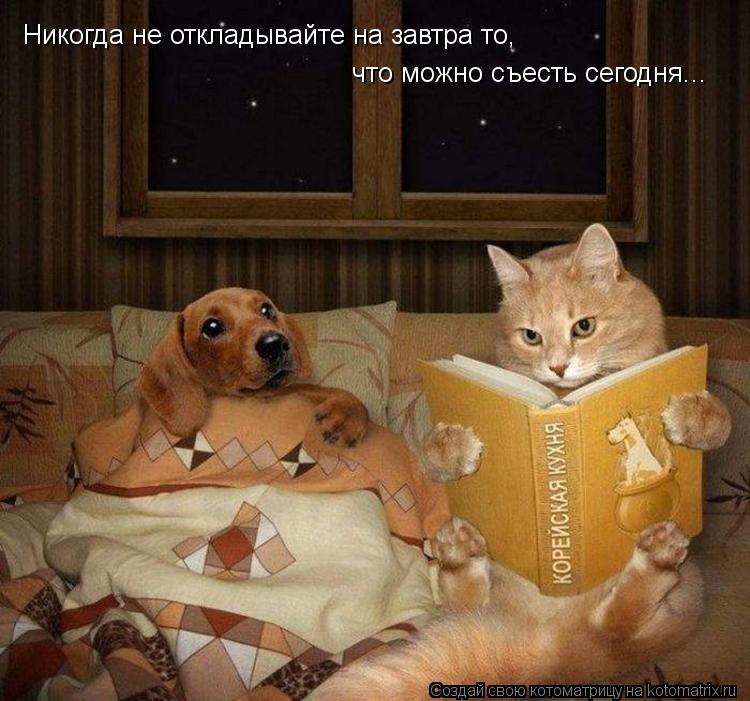 Никогда не откладывайте на завтра то, что можно съесть сегодня...... Котоматрица: Никогда не откладывайте на завтра то, что можно съесть сегодня...