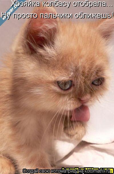 Хозяйка колбасу отобрала... Ну просто пальчики оближешь!... Котоматрица: Хозяйка колбасу отобрала... Ну просто пальчики оближешь!