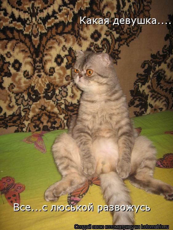 Какая девушка.... Все...с люськой развожусь... Котоматрица: Какая девушка.... Все...с люськой развожусь