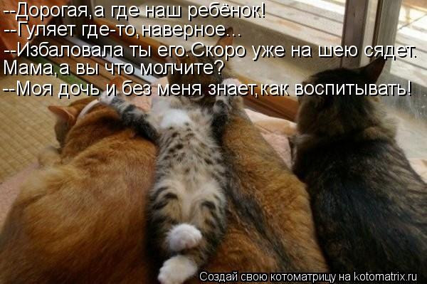 --Дорогая,а где наш ребёнок! --Гуляет где-то,наверное... --Избаловала ты его.Скоро уже на шею сядет. ... Котоматрица: --Дорогая,а где наш ребёнок! --Гуляет где-то,наверное... --Избаловала ты его.Скоро уже на шею сядет. Мама,а вы что молчите? --Моя дочь и без меня зн