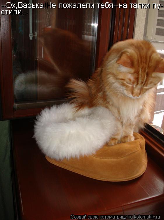 --Эх,Васька!Не пожалели тебя--на тапки пу- стили...... Котоматрица: --Эх,Васька!Не пожалели тебя--на тапки пу- стили...