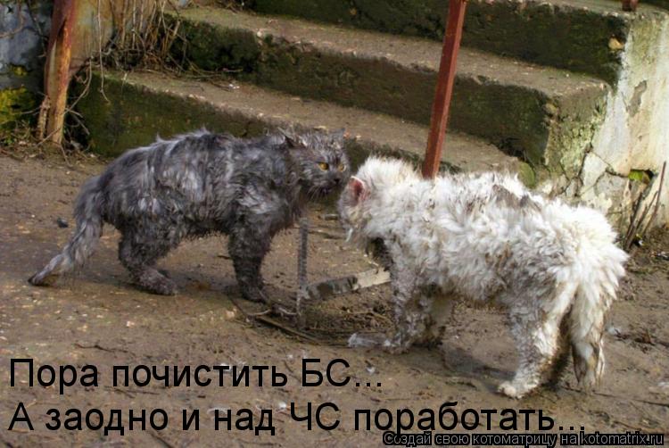 Пора почистить БС... А заодно и над ЧС поработать...... Котоматрица: Пора почистить БС... А заодно и над ЧС поработать...