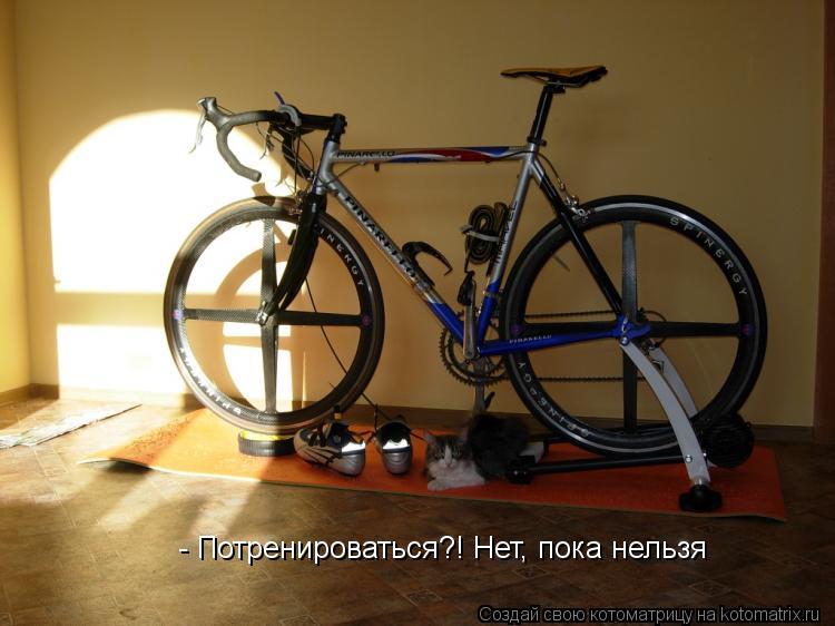 - Потренироваться?! Нет, пока нельзя... Котоматрица: - Потренироваться?! Нет, пока нельзя