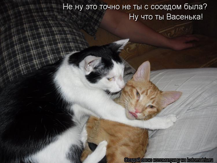 Не ну это точно не ты с соседом была? Ну что ты Васенька!... Котоматрица: Не ну это точно не ты с соседом была? Ну что ты Васенька!