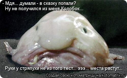 - Мдя... думали - в сказку попали? Ну не получился из меня Колобок... Руки у стряпухи не из того тест... Котоматрица: - Мдя... думали - в сказку попали? Ну не получился из меня Колобок... Руки у стряпухи не из того тест... эээ... места растут...