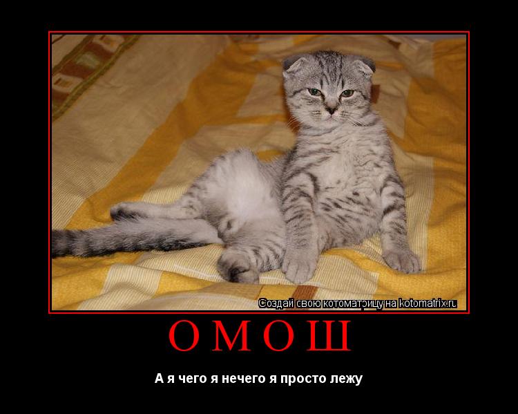 Котоматрица: Омош А я чего я нечего я просто лежу