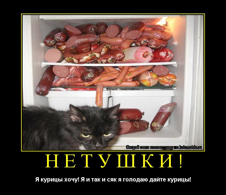Нетушки! Я курицы хочу! Я и так и сяк я голодаю дайте курицы!... Котоматрица: Нетушки! Я курицы хочу! Я и так и сяк я голодаю дайте курицы!