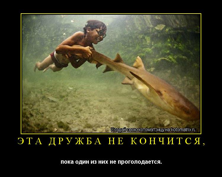 Котоматрица: эта дружба не кончится,  пока один из них не проголодается.