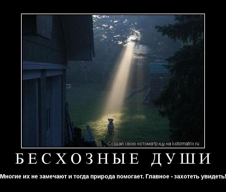 БЕСХОЗНЫЕ ДУШИ Многие их не замечают и тогда природа помогает. Главное - захотеть увидеть!... Котоматрица: БЕСХОЗНЫЕ ДУШИ Многие их не замечают и тогда природа помогает. Главное - захотеть увидеть!