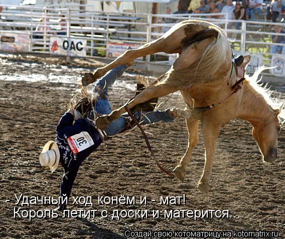 - Удачный ход конём и - мат! Король летит с доски и матерится...... Котоматрица: - Удачный ход конём и - мат! Король летит с доски и матерится...