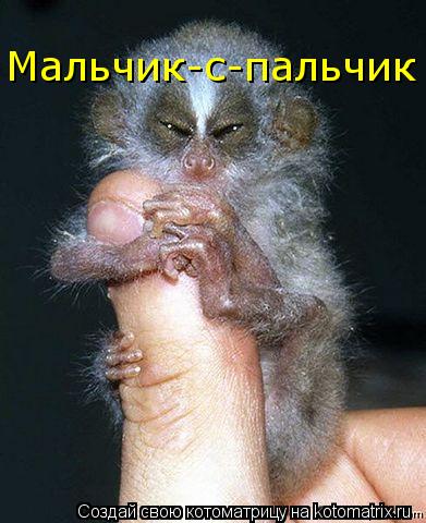 Мальчик-с-пальчик... Котоматрица: Мальчик-с-пальчик