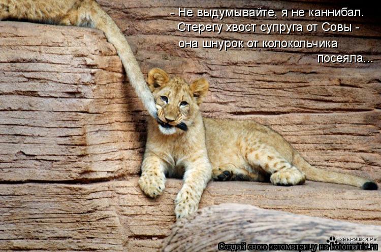 - Не выдумывайте, я не каннибал. Стерегу хвост супруга от Совы - она шнурок от колокольчика посеяла... Котоматрица: - Не выдумывайте, я не каннибал. Стерегу хвост супруга от Совы - она шнурок от колокольчика посеяла...