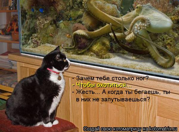 - Зачем тебе столько ног? - Чтобы охотиться... - Жесть... А когда ты бегаешь, ты в них не запутываешь... Котоматрица: - Зачем тебе столько ног? - Чтобы охотиться... - Жесть... А когда ты бегаешь, ты в них не запутываешься?