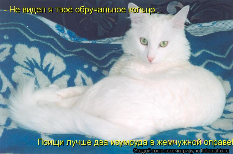 - Не видел я твоё обручальное кольцо... Поищи лучше два изумруда в жемчужной оправе!... Котоматрица: - Не видел я твоё обручальное кольцо... Поищи лучше два изумруда в жемчужной оправе!