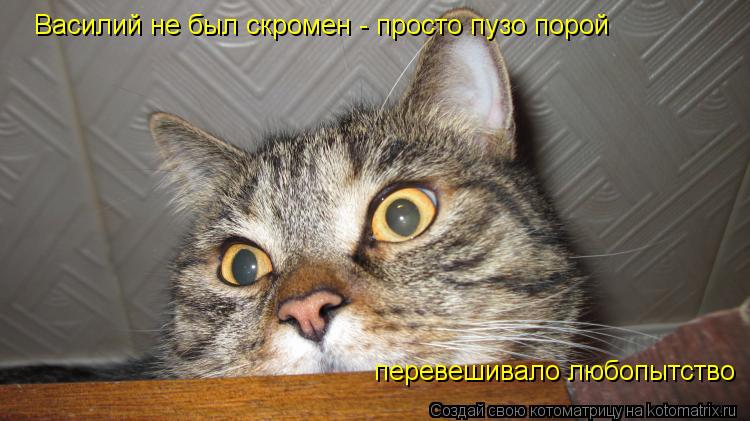 Василий не был скромен - просто пузо порой перевешивало любопытство... Котоматрица: Василий не был скромен - просто пузо порой перевешивало любопытство