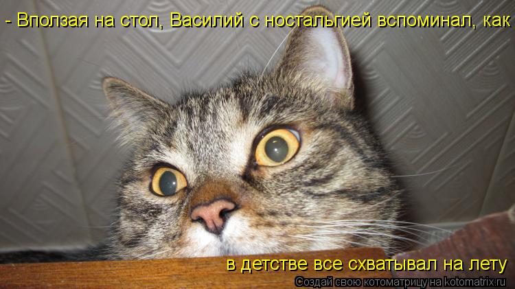 - Вползая на стол, Василий с ностальгией вспоминал, как в детстве все схватывал на лету... Котоматрица: - Вползая на стол, Василий с ностальгией вспоминал, как в детстве все схватывал на лету