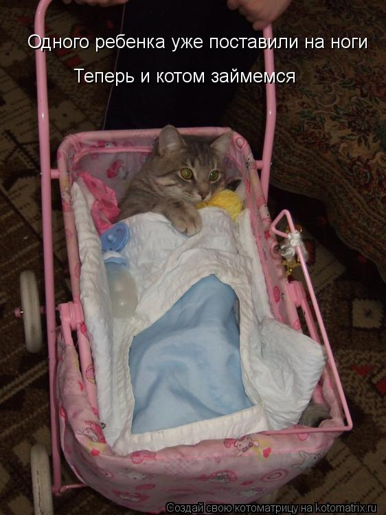 Одного ребенка уже поставили на ноги Теперь и котом займемся... Котоматрица: Одного ребенка уже поставили на ноги Теперь и котом займемся