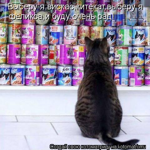 Выберу я:вискас,китекат,выберу я феликса,и буду очень рад!... Котоматрица: Выберу я:вискас,китекат,выберу я феликса,и буду очень рад!