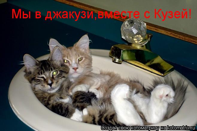 Мы в джакузи,вместе с Кузей!... Котоматрица: Мы в джакузи,вместе с Кузей!