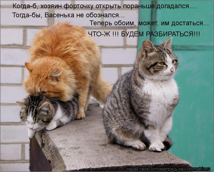 Когда-б, хозяин форточку открыть пораньше догадался.... Тогда-бы, Васенька не обознался... Теперь обо... Котоматрица: Когда-б, хозяин форточку открыть пораньше догадался.... Тогда-бы, Васенька не обознался... Теперь обоим, может, им достаться... ЧТО-Ж !!! БУДЕМ РА