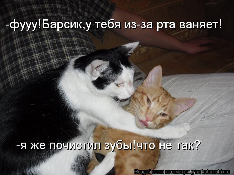 -фууу!Барсик,у тебя из-за рта ваняет! -я же почистил зубы!что не так?... Котоматрица: -фууу!Барсик,у тебя из-за рта ваняет! -я же почистил зубы!что не так?