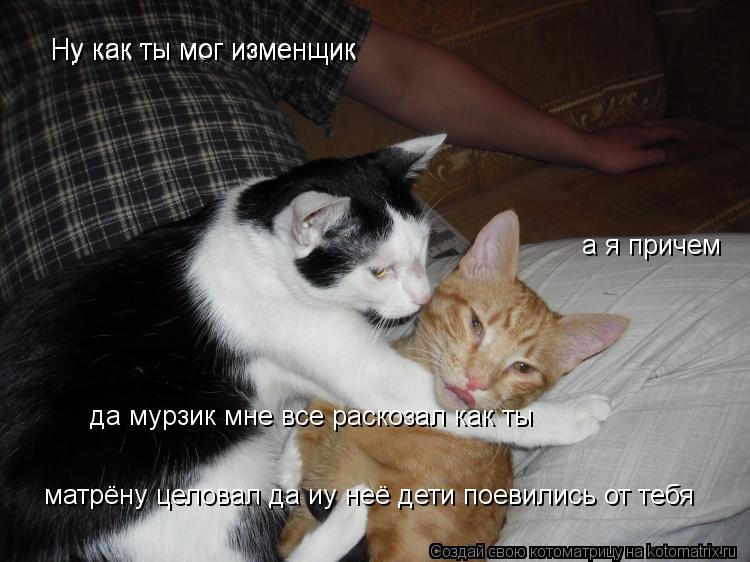 Ну как ты мог изменщик Ну как ты мог изменщик а я причем да мурзик мне все раскозал как ты матрёну ц... Котоматрица: Ну как ты мог изменщик Ну как ты мог изменщик а я причем да мурзик мне все раскозал как ты матрёну целовал да иу неё дети поевились от тебя