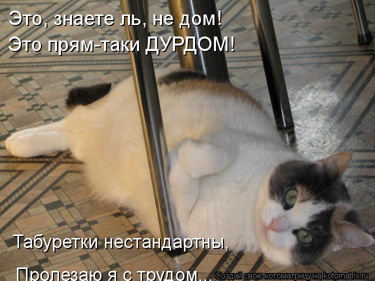 Это, знаете ль, не дом! Это прям-таки ДУРДОМ! Табуретки нестандартны, Пролезаю я с трудом...... Котоматрица: Это, знаете ль, не дом! Это прям-таки ДУРДОМ! Табуретки нестандартны, Пролезаю я с трудом...